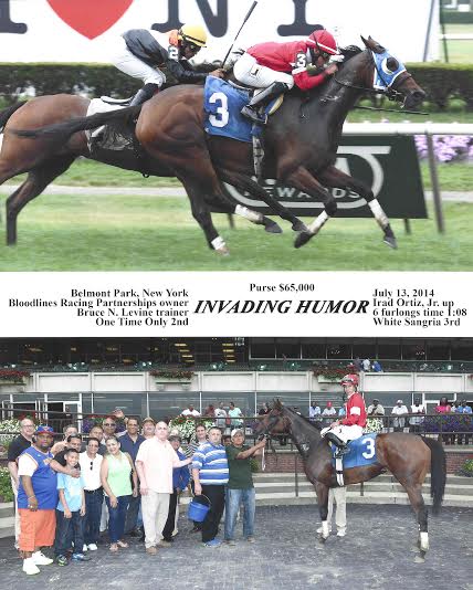 Winners Circle - Bloodlines Racing