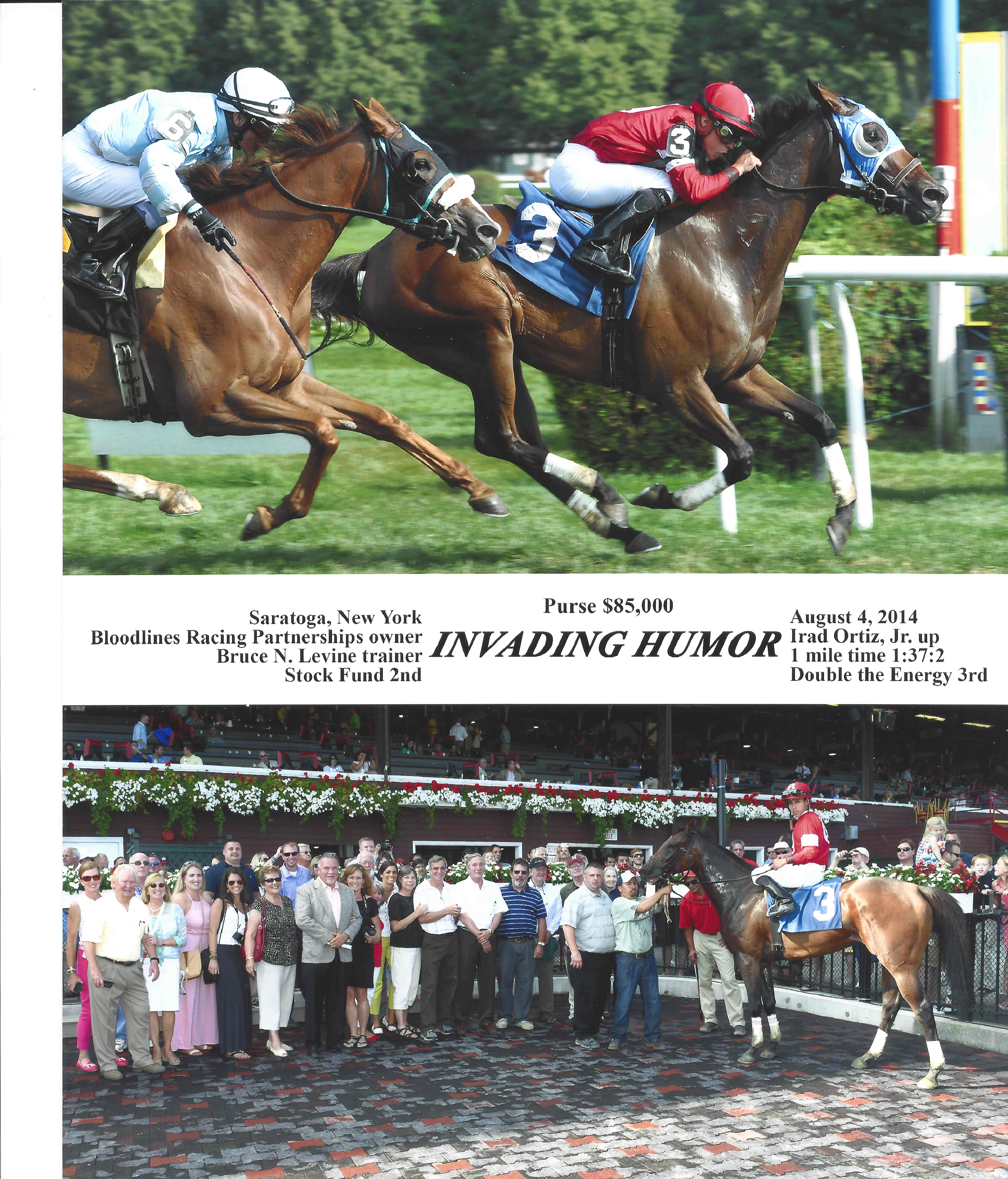 Winners Circle - Bloodlines Racing