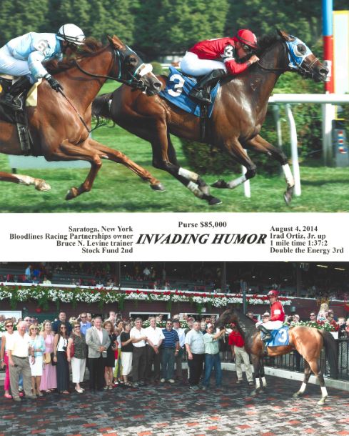 Winners Circle - Bloodlines Racing