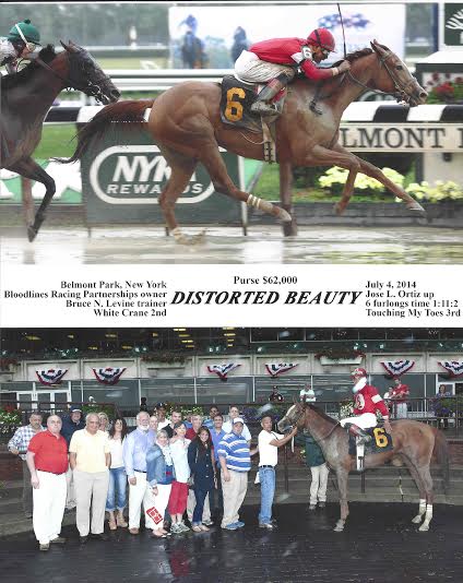 Winners Circle - Bloodlines Racing